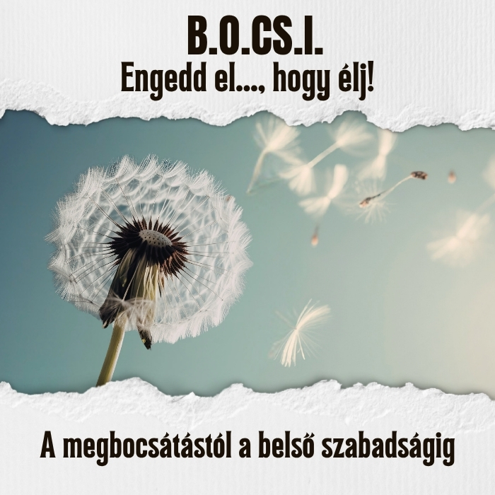 B.O.CS.I. – Engedd el… hogy élj!