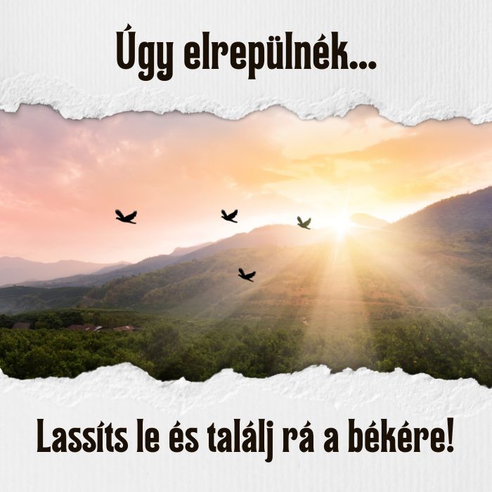 Úgy elrepülnék… - Felüdítő üzenetsorozat megfáradtaknak