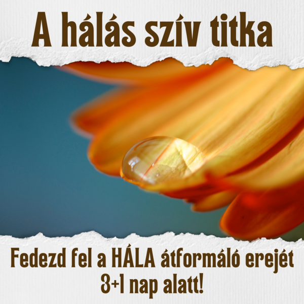 Hálás szív titka sorozat